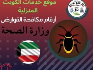 شركة مكافحة الحشرات بالكويت
