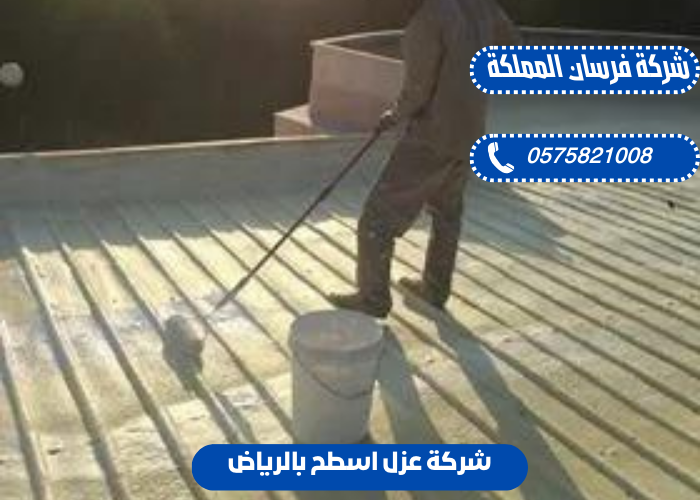 عزل الحمامات بالرياض