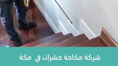 شركة مكافحة حشرات بجدة