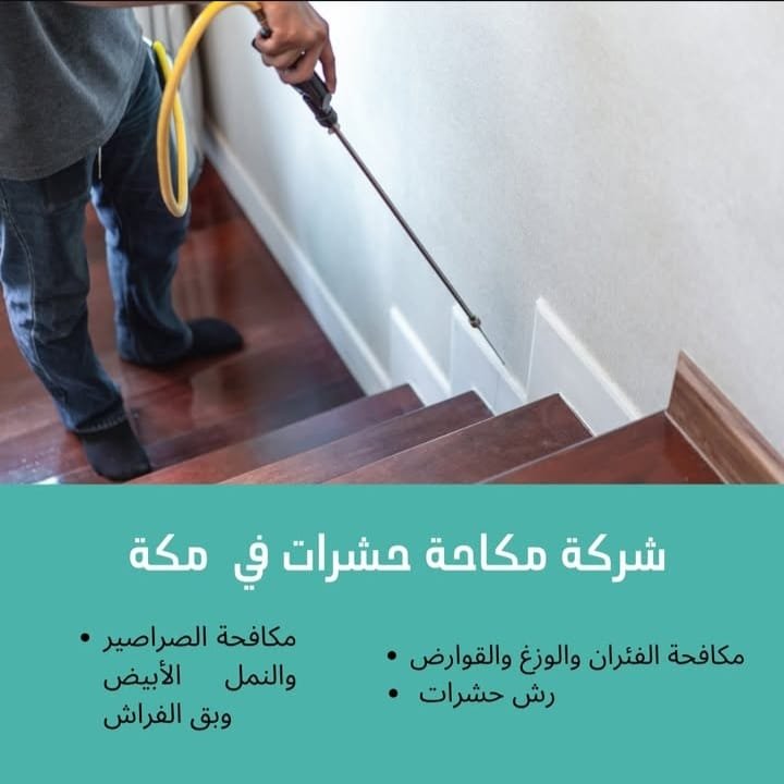 شركة مكافحة حشرات بجدة