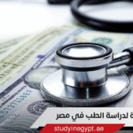 الدراسة في مصر