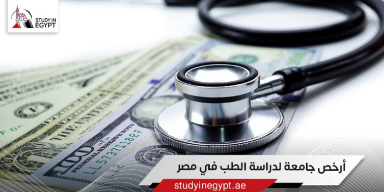 الدراسة في مصر