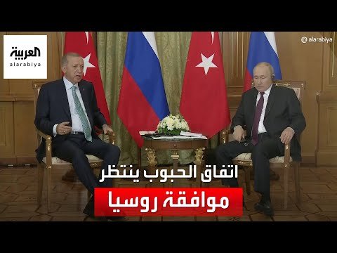 مراسل العربية: بوتين يؤكد لأردوغان استعداد روسيا لاستئناف العمل بمبادرة تصدير الحبوب بشروط