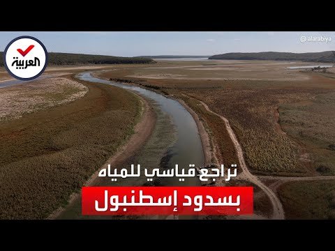 أغنام ترعى في أحد أكبر سدود تركيا المائية!