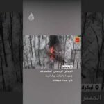 الجيش الروسي: استهدفنا جنودا وآليات أوكرانية في عدة جبهات