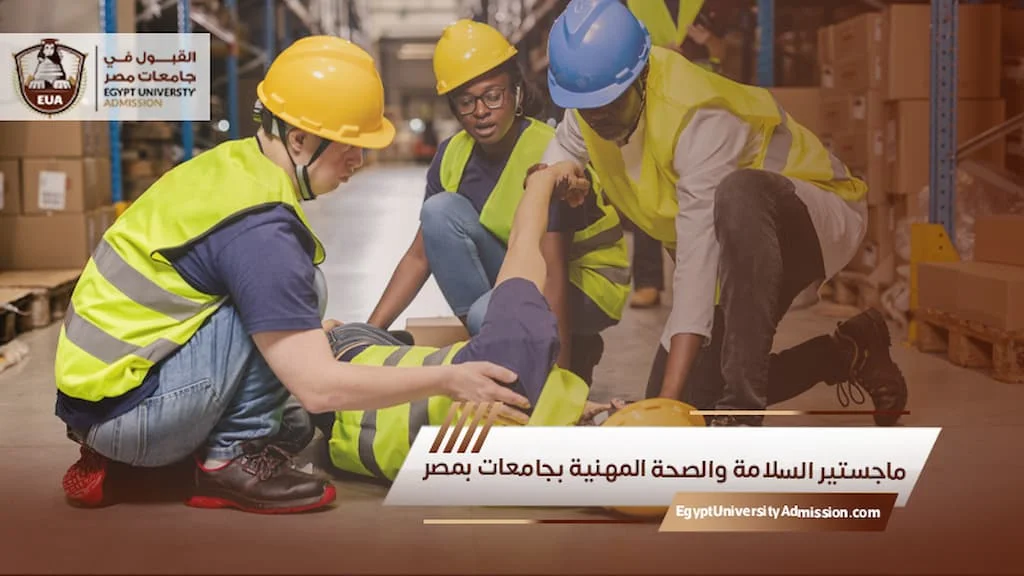 الدراسة في مصر: تنوع أكاديمي يواكب احتياجات سوق العمل